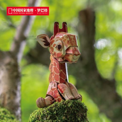 博物文创 萌仔茶话会系列 立体拼插纸模  小熊猫 长颈鹿 大熊猫 川金丝猴 考拉 商品图4