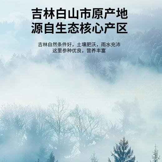 【正宗同仁堂品牌】北京同仁堂 青源堂 国产西洋参100克礼盒（50g*2瓶）约1.0-1.2cm主根正切 片片精华SY 商品图1