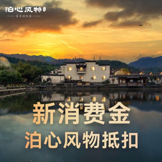 新消费金泊心风物抵扣 商品图0