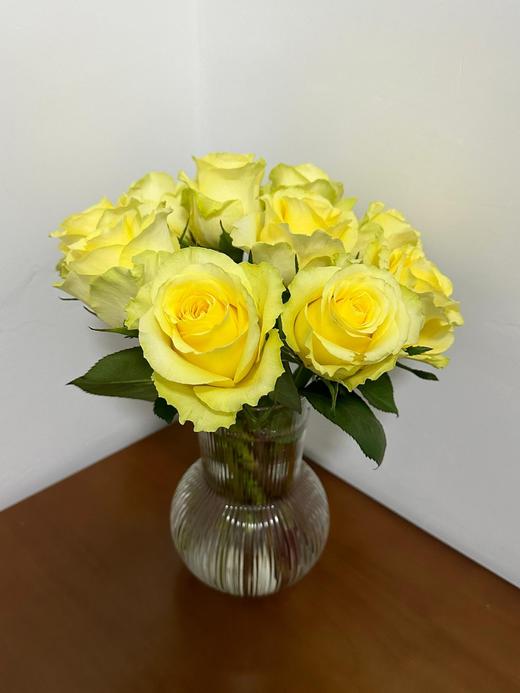 【AB级浪漫沙滩玫瑰.第二件减10元】10支/份 长约60-65cm 商品图11