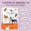 中信出版 | 365日：猫友记/“薄荷曼波”猫猫袋 中西直子 著 商品缩略图0