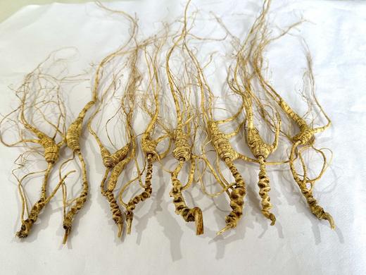 【容德嚴選】15年＋的林下野山参粉 商品图5