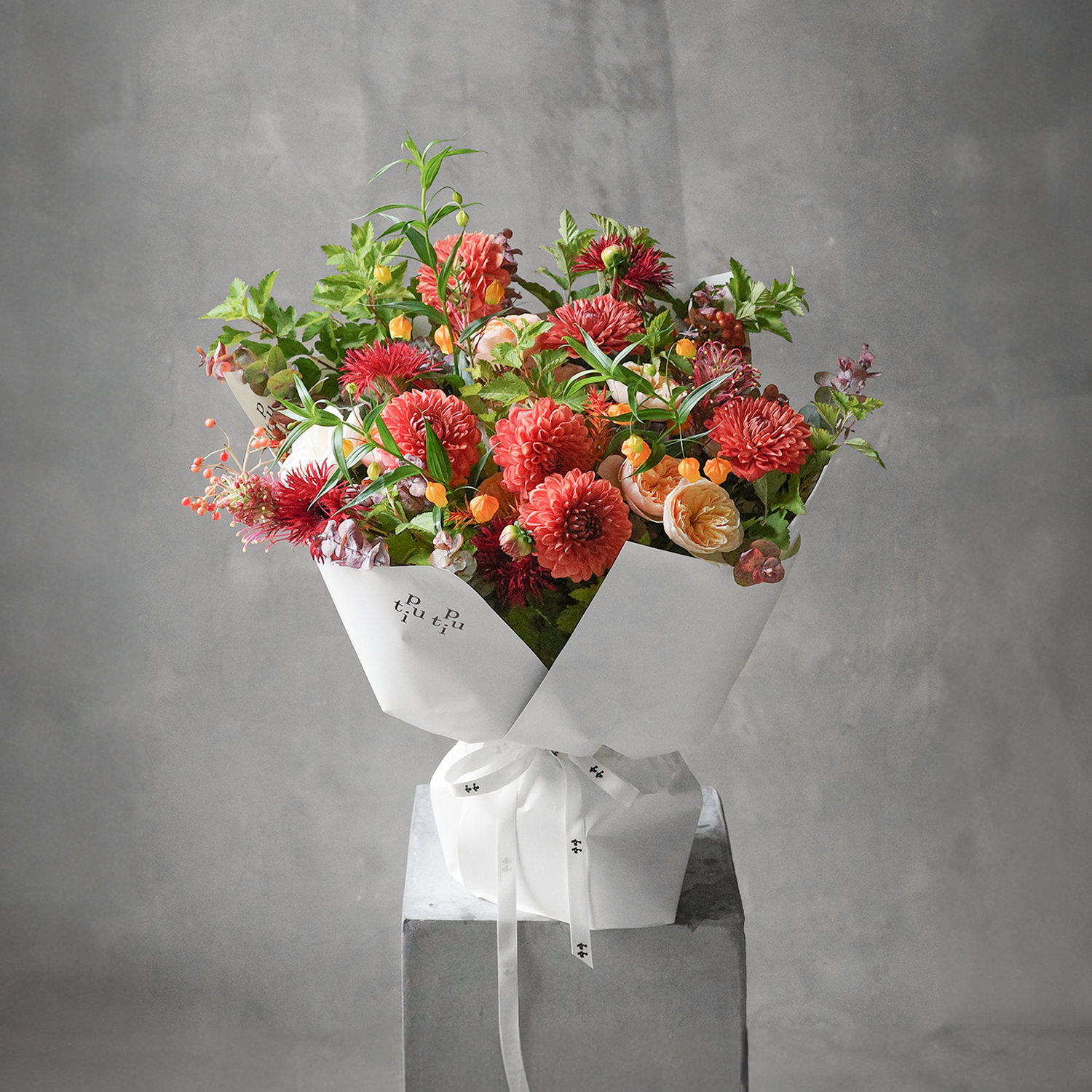 秋日情绪 Autumn Mood