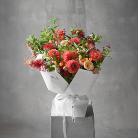 秋日情绪 Autumn Mood