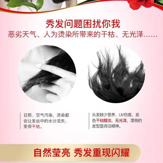 舒蕾山茶精油洗发水莹亮滋养蓬松洗发露900ml 商品图2