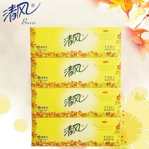 清风110抽 4盒装 商品图3