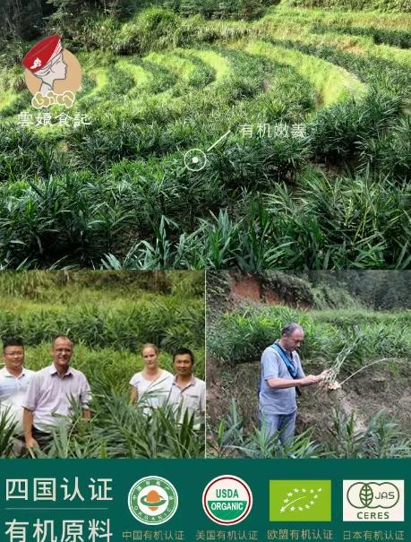 芸娘食记有机结晶姜 商品图2