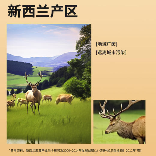 【正宗同仁堂品牌】北京同仁堂 鹿茸红粉片20克 甄选鹿茸中上部位 空隙密度小 蜡圈厚实SY 商品图2