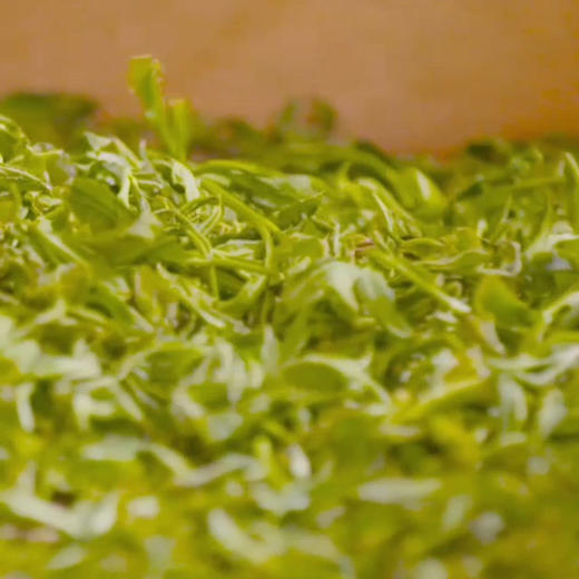 【严选】常小常原叶萃取调味茶饮料茉莉花茶/青柑普洱茶/清香乌龙茶500ml*9瓶   （厂家直发） 商品图1