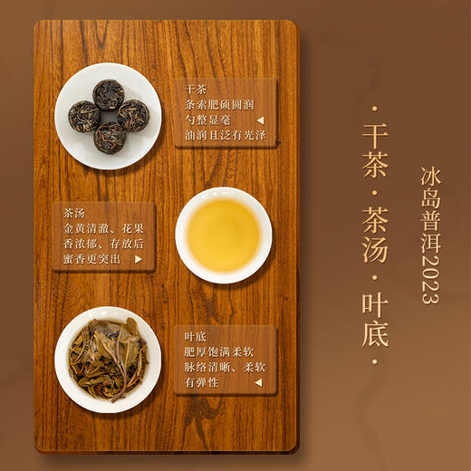 懂茶帝2023年冰岛老寨古树茶大家风范2普洱茶（生茶）240g 商品图2