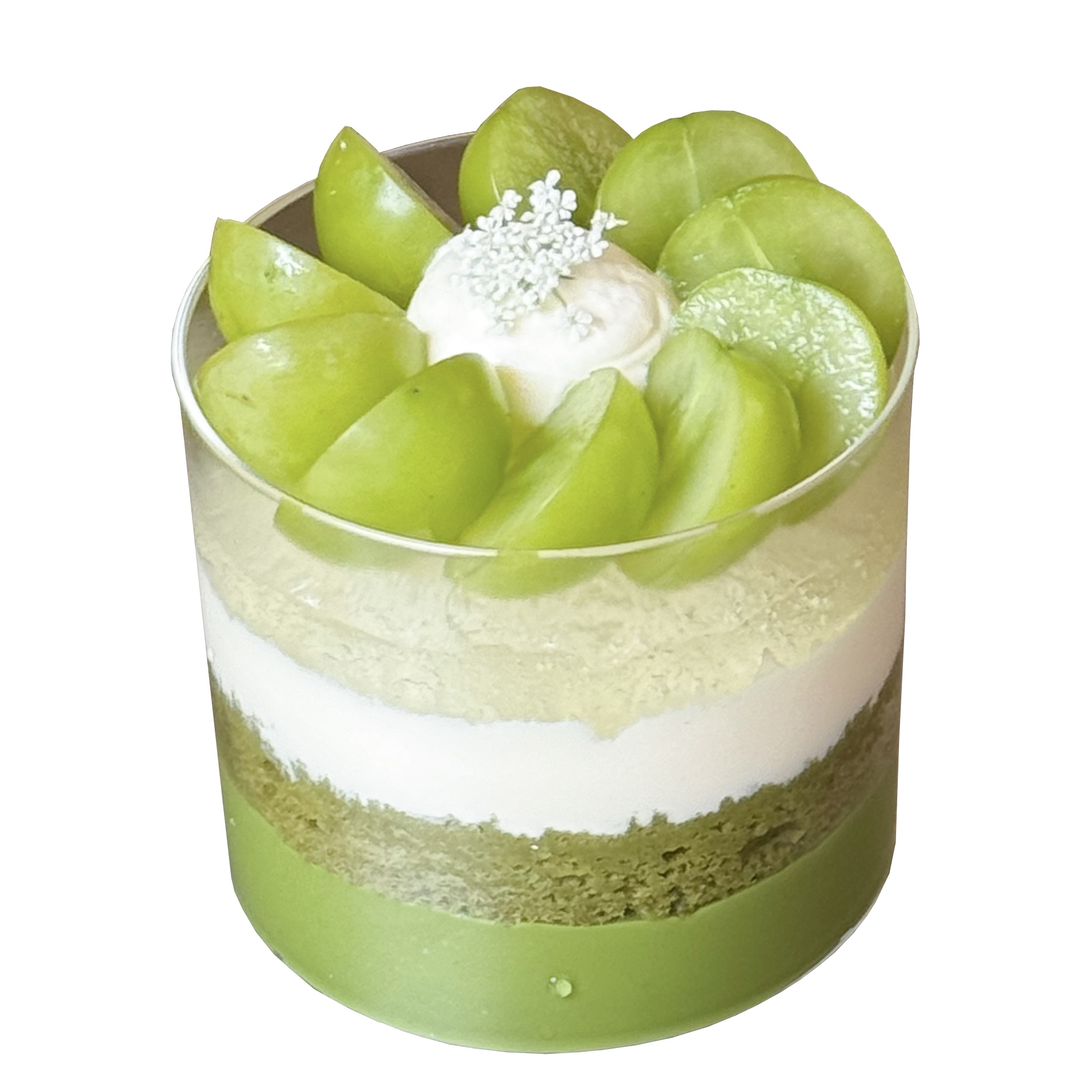 青提柚子杯付费优惠券