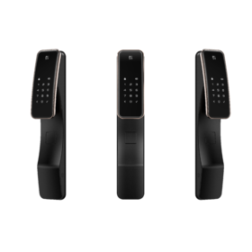 LR【德施曼Q2指纹密码锁家用防盗门全自动智能锁】DSM