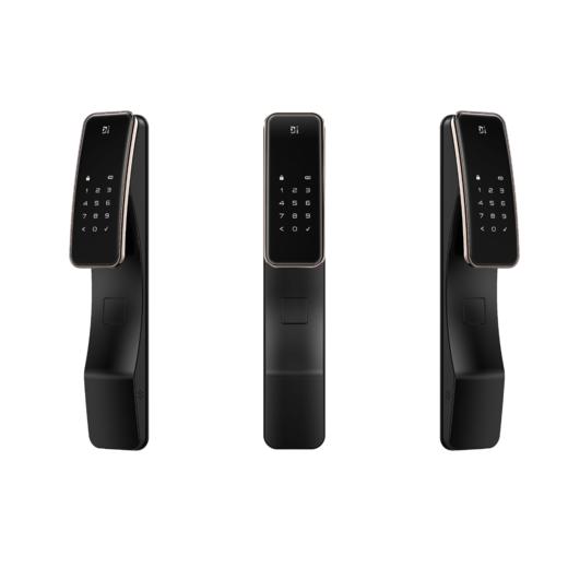 LR【德施曼Q2指纹密码锁家用防盗门全自动智能锁】DSM 商品图0