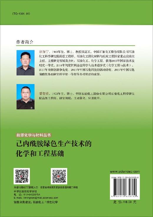 己内酰胺绿色生产技术的化学和工程基础/宗保宁 商品图1