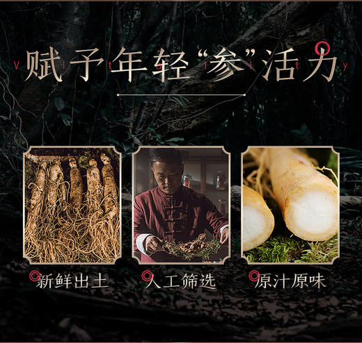 【买5送5】  长白山人参带保鲜参6-8克/支  A-4648 （效期27-10） 商品图5