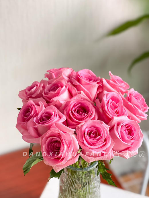 【AB级苏醒玫瑰.第二份减10元】10支/份 长约60cm 商品图9