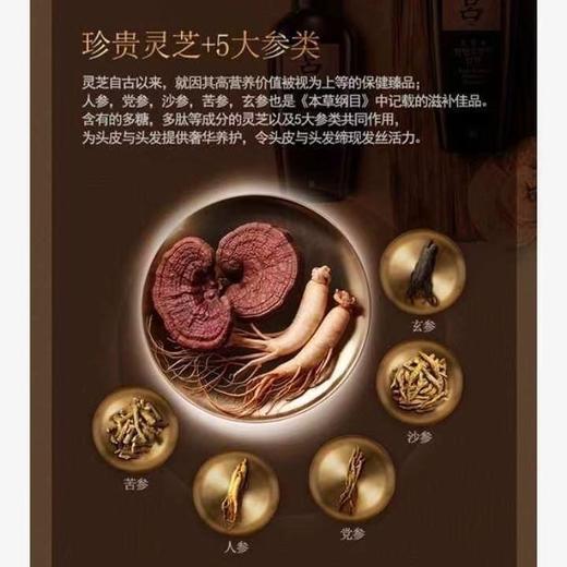 黑吕参焕护发素 商品图1