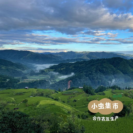 生态老品种白/紫糯米粉 400g/袋 | 合作农友生产，来自贵州黎平洋侗村，生产者：杨邦荣 ＆【公平贸易农人定价】 商品图4