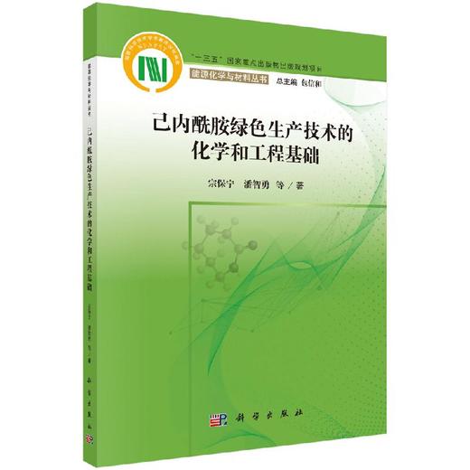 己内酰胺绿色生产技术的化学和工程基础/宗保宁 商品图0