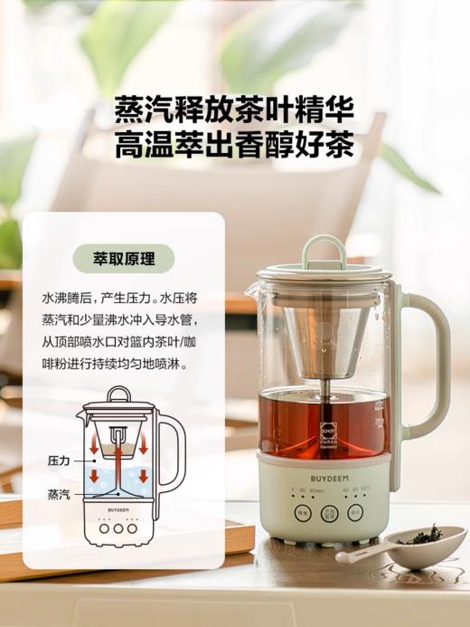 北鼎mini养生壶办公室多功能小型煮茶器迷你便携烧水壶花茶壶K36 商品图1