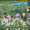 6天5晚 / 自然与科学研学之旅 商品缩略图7