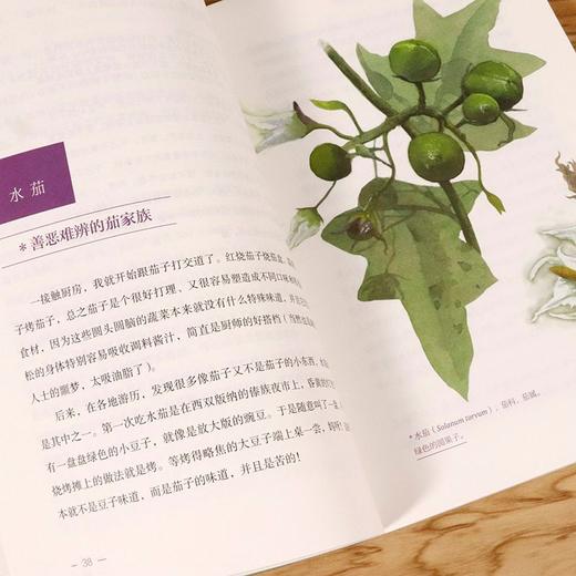 植物学家的筷子和银针 史军 图文详解50余种聪明的植物毒理特性及正确食用方式 商品图6