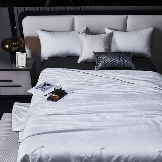 红蜻蜓家纺被子100%蚕丝被春秋被学生宿舍被芯夏被空调被-御品蚕丝被 200*230cm 商品图4