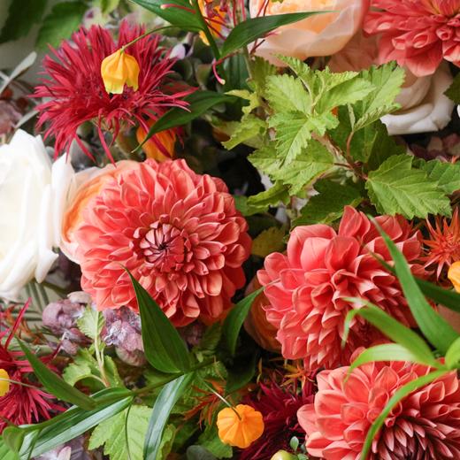 秋日情绪 Autumn Mood 商品图2