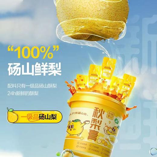 龙润堂记秋梨膏 清润纯梨膏冲饮独立便携装210g*2桶 商品图1