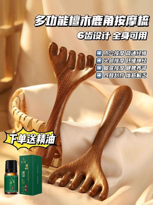 【买一送一】鹿角六齿檀木按摩梳 从头保养到脚的养生神器 A-2726 商品图3