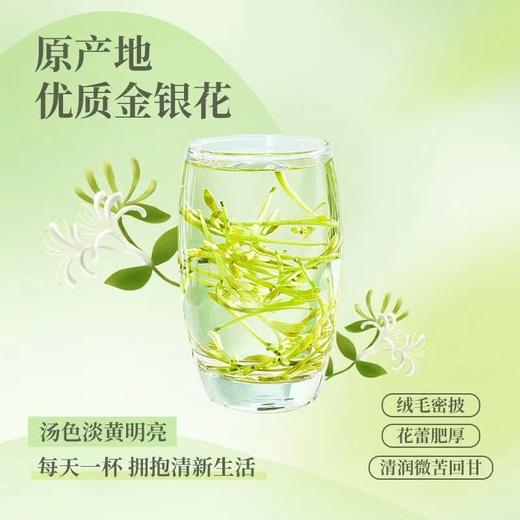 【原产地优质金银花】产地严选晨采头茬，绒毛密披形态饱满上粗下细，金银花根根浮于茶汤中汤色明亮透彻降火解渴QQ 商品图5
