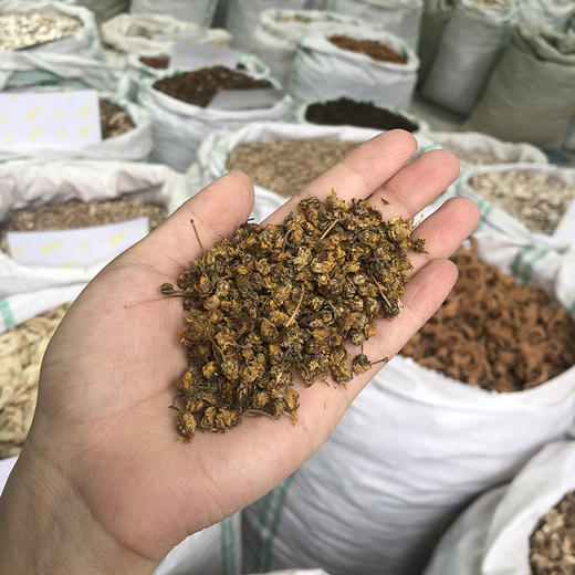 野菊花  野外采收野菊花 色泽自然 商品图3