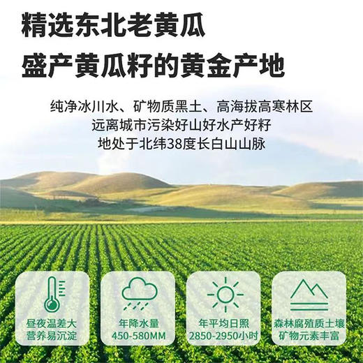 子荷堂黄瓜籽粉 400克/罐x4 商品图1