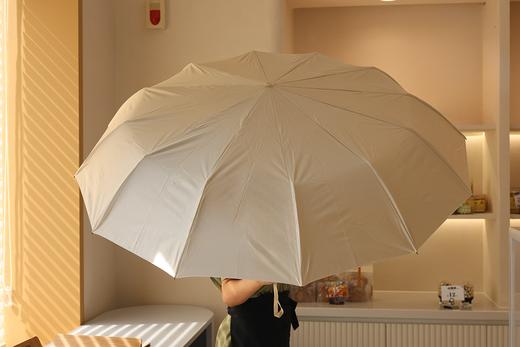 精致雨伞一个 勿拍 （积分兑换） 商品图1