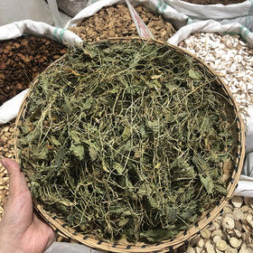 紫花地丁 当季新货 农家生晒中药材