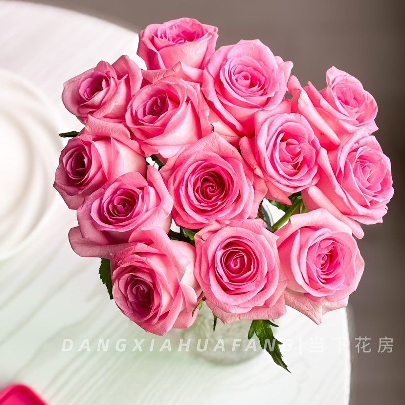 【AB级苏醒玫瑰.第二份减10元】10支/份 长约60cm