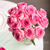 【AB级苏醒玫瑰.第二份减10元】10支/份 长约60cm 商品缩略图0
