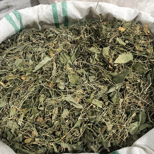 紫花地丁 当季新货 农家生晒中药材 商品图4