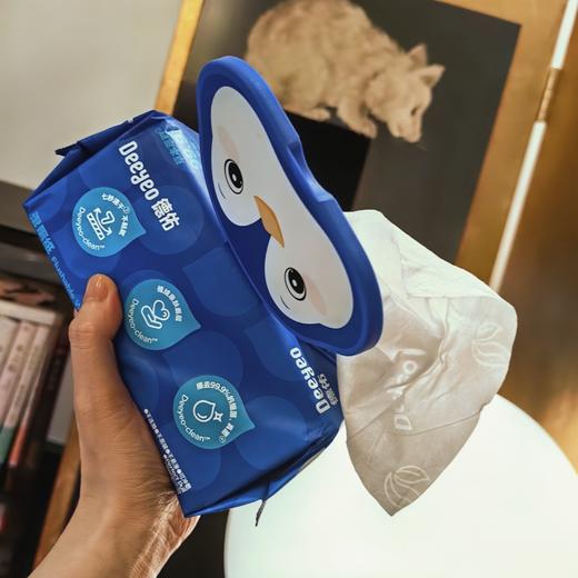 [屁侠推荐]德佑湿厕纸 擦PP专用  3重草本 加量家庭装全新升级款  80抽*3包/4包/6包 商品图0