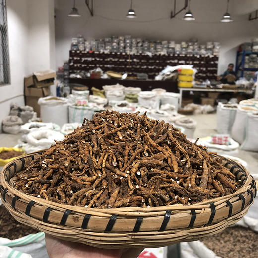 石菖蒲 圆片 石菖蒲  九节菖蒲 当季新货 中药材 商品图1