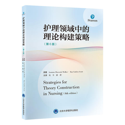 护理领域中的理论构建策略（第6版） 庞冬 路潜 主译   北医社 商品图0