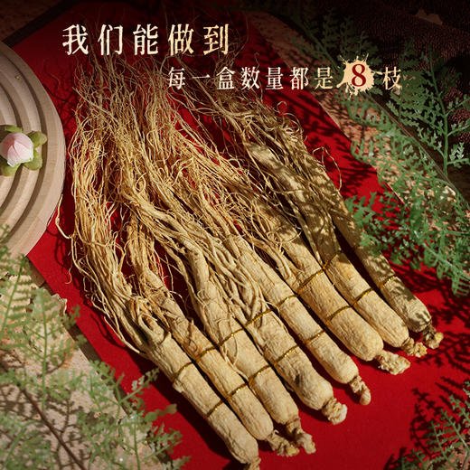 热售【生晒参礼盒】长白山人参生晒参80g送礼佳选 商品图1