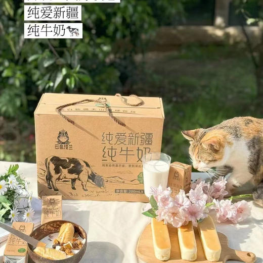 巴音楼兰纯牛奶 商品图1