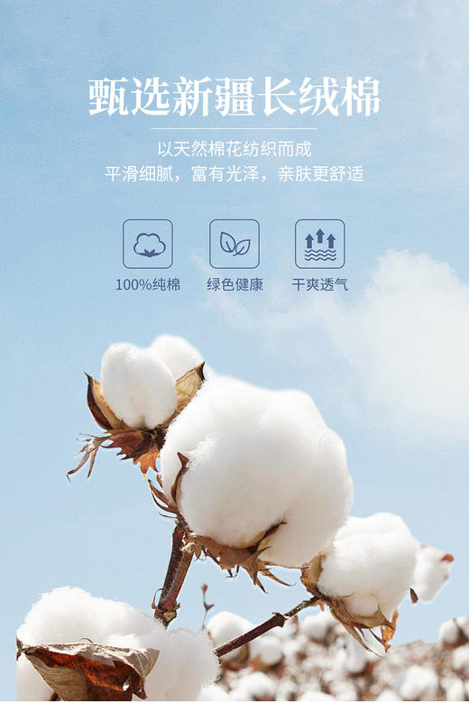 赤兔嗨购纯棉商务休闲免烫长袖衬衫男2024秋季新款休闲条纹百搭男士衬衣通勤风 商品图6