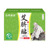 百年扁氏艾脐贴 商品缩略图1