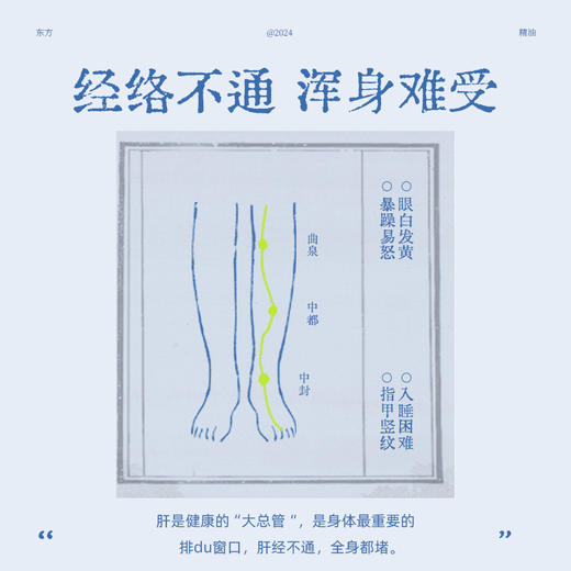 【真不二】真不二紫苏当归中式复方精油肝经按摩腿部 商品图3