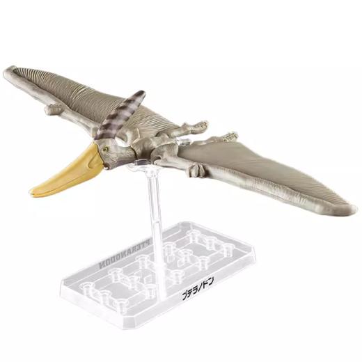 万代 Bandai 万代模型 恐龙拼装模型 无齿翼龙BANC4573102662828 商品图1