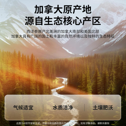 【正宗同仁堂品牌】北京同仁堂 青源堂 加拿大西洋参120克礼盒(60g*2瓶）约1.2-1.6cm 优质参片人参皂苷含量丰富 泡水易释放SY 商品图3