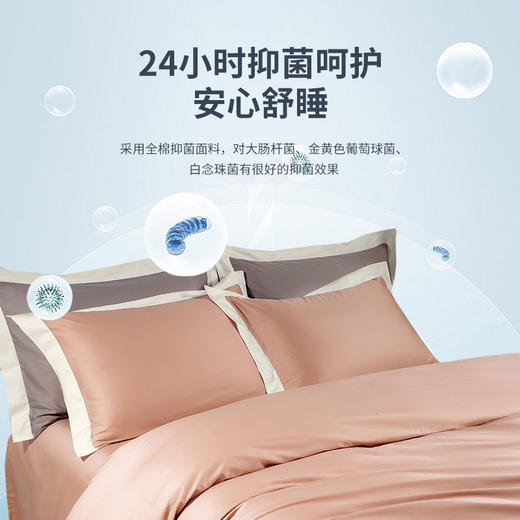 【维科家纺】A类60S抗菌长绒棉四件套全棉纯棉床单被套床品1.8米床1.5 商品图2