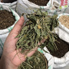 紫花地丁 当季新货 农家生晒中药材 商品缩略图2